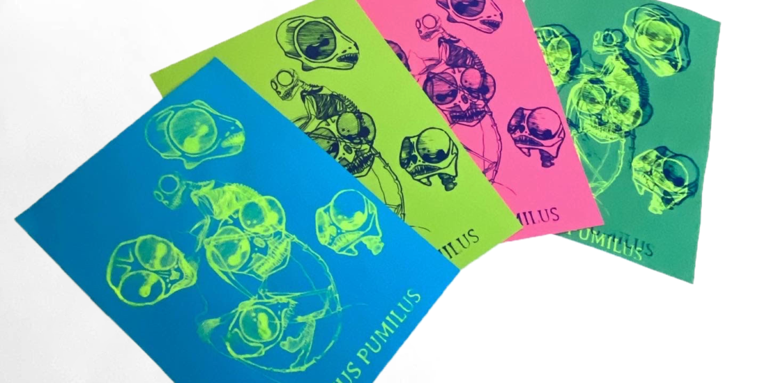 Impression sérigraphie tarsier